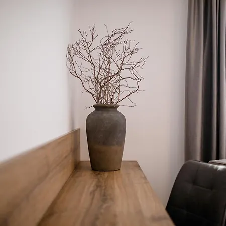 Apartament Apartma Stara Maslina
